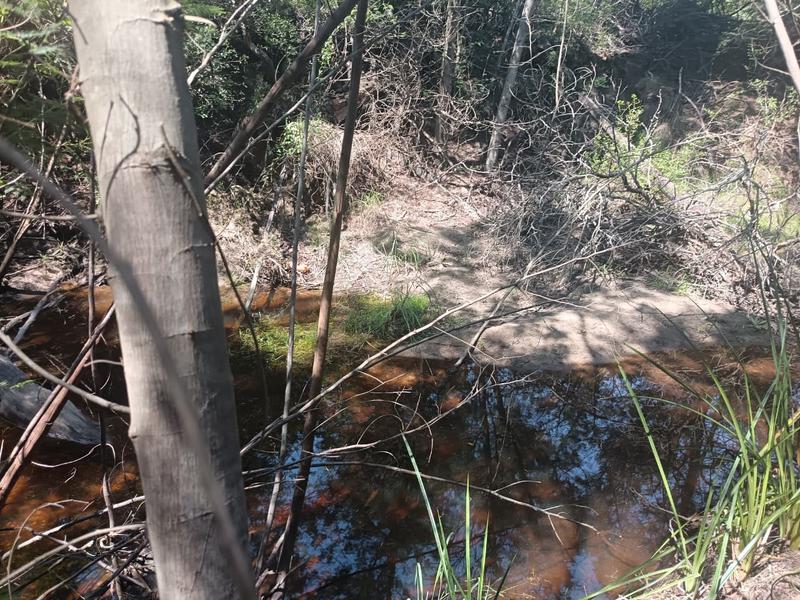 0 Bedroom Property for Sale in Albertinia Western Cape